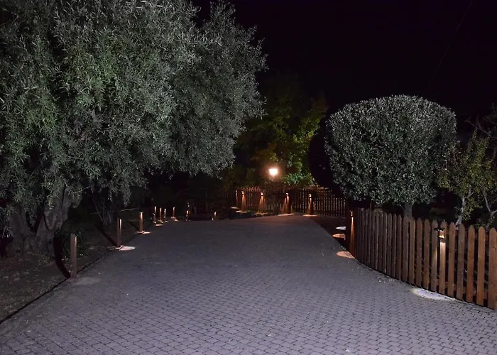 Papa Vulcano - Oasi Di Pietra